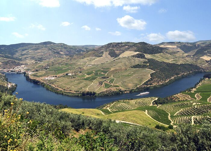 Panorama vom Douro