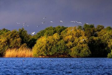 Panoramabild Donaudelta
