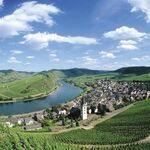 Flusskreuzfahrt mit Hund an die Mosel