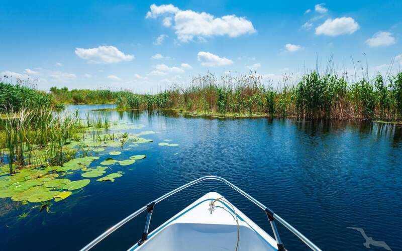 Flusslauf im Donaudelta
