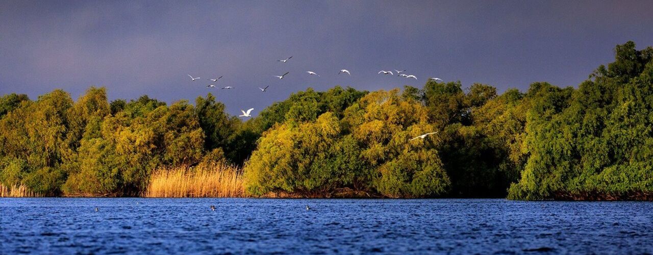 Panoramabild Donaudelta