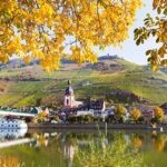 Zell an der Mosel