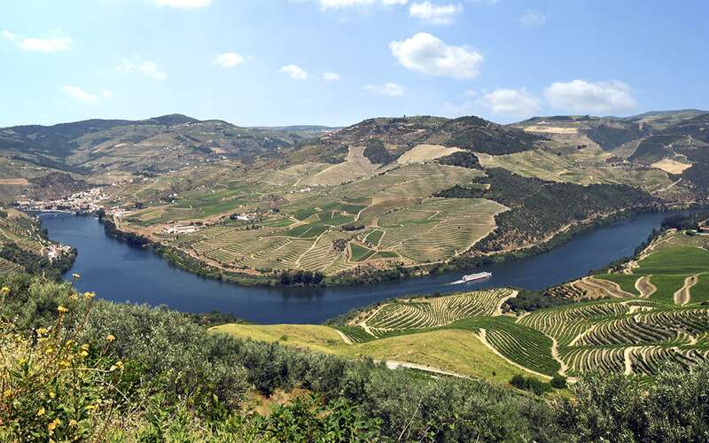 Panorama vom Douro