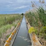 bewaesserungsgraben in der camargue