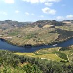 Panorama vom Douro