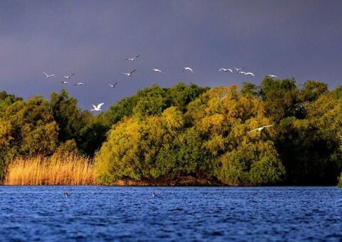 Panoramabild Donaudelta