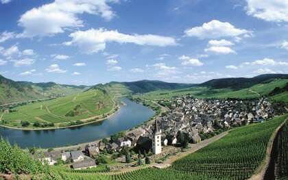 Flusskreuzfahrt mit Hund an die Mosel