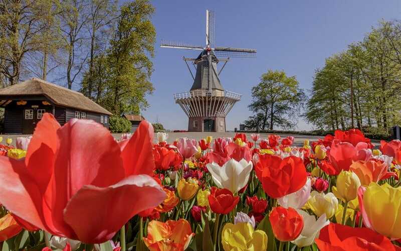 Keukenhof - Tulpenparadies in Holland