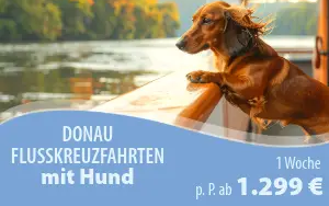 flusskreuzfahrt mit hund dackel