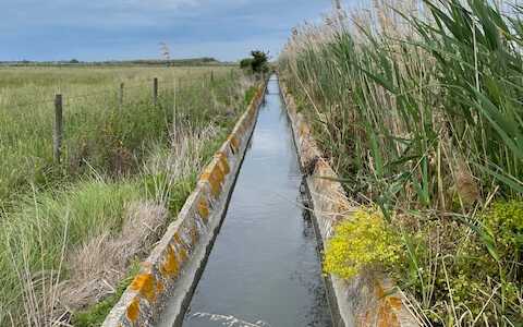 bewaesserungsgraben in der camargue