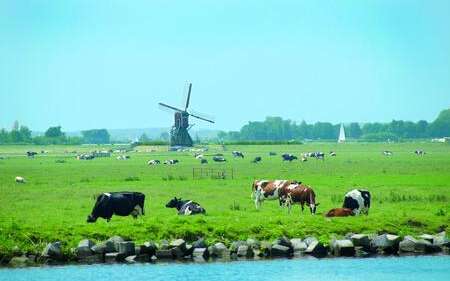Landschaft in Holland