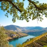 flusslandschaft am Douro