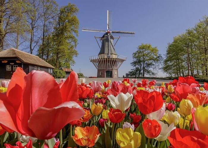 Keukenhof - Tulpenparadies in Holland