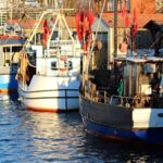 fischkutter in greifswald