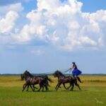 Reiter in der Puszta