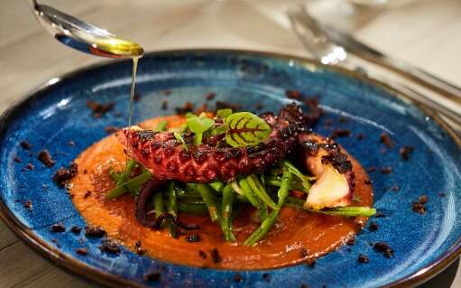 Teller mit Vorspeise