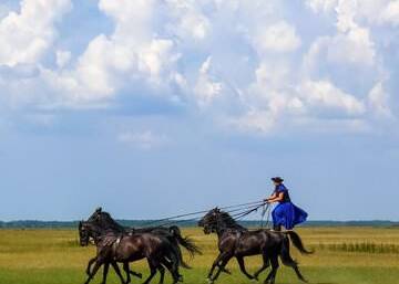 Reiter in der Puszta