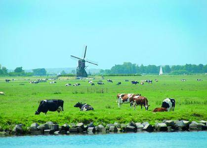 Landschaft in Holland