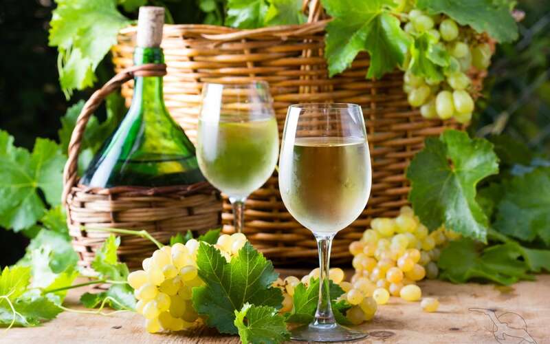 wein entlang der mosel