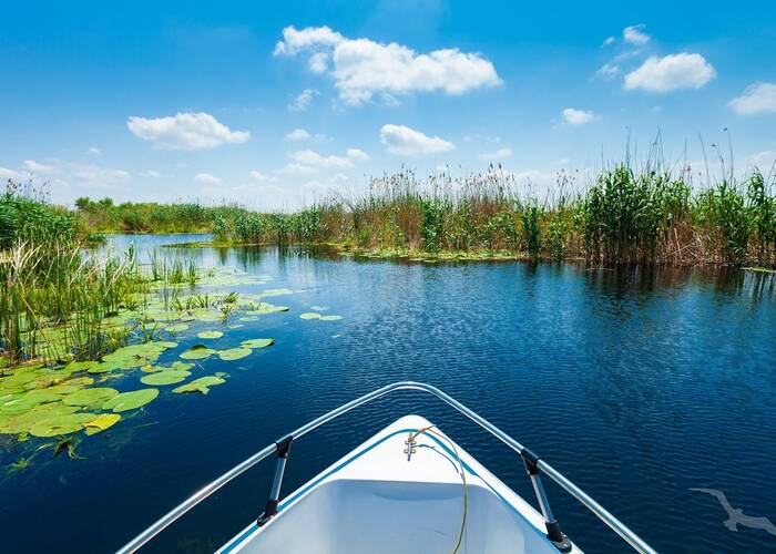 Flusslauf im Donaudelta