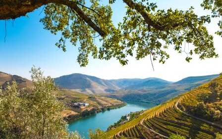 flusslandschaft am Douro