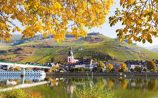 Zell an der Mosel