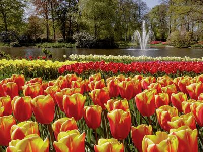 Keukenhof in Holland