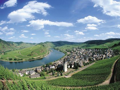 Flusskreuzfahrt mit Hund